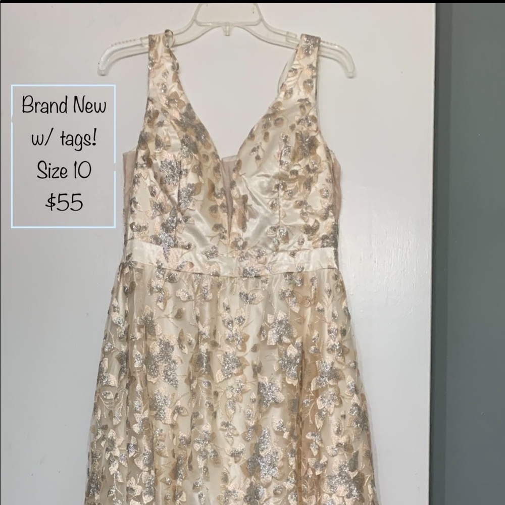 Gorgeous Gown: Great for Prom Dress, Formal, Wedding Guest Dress, & More!